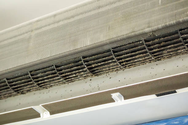 Best Best Air Duct Cleaning Company  in Rossford, OH